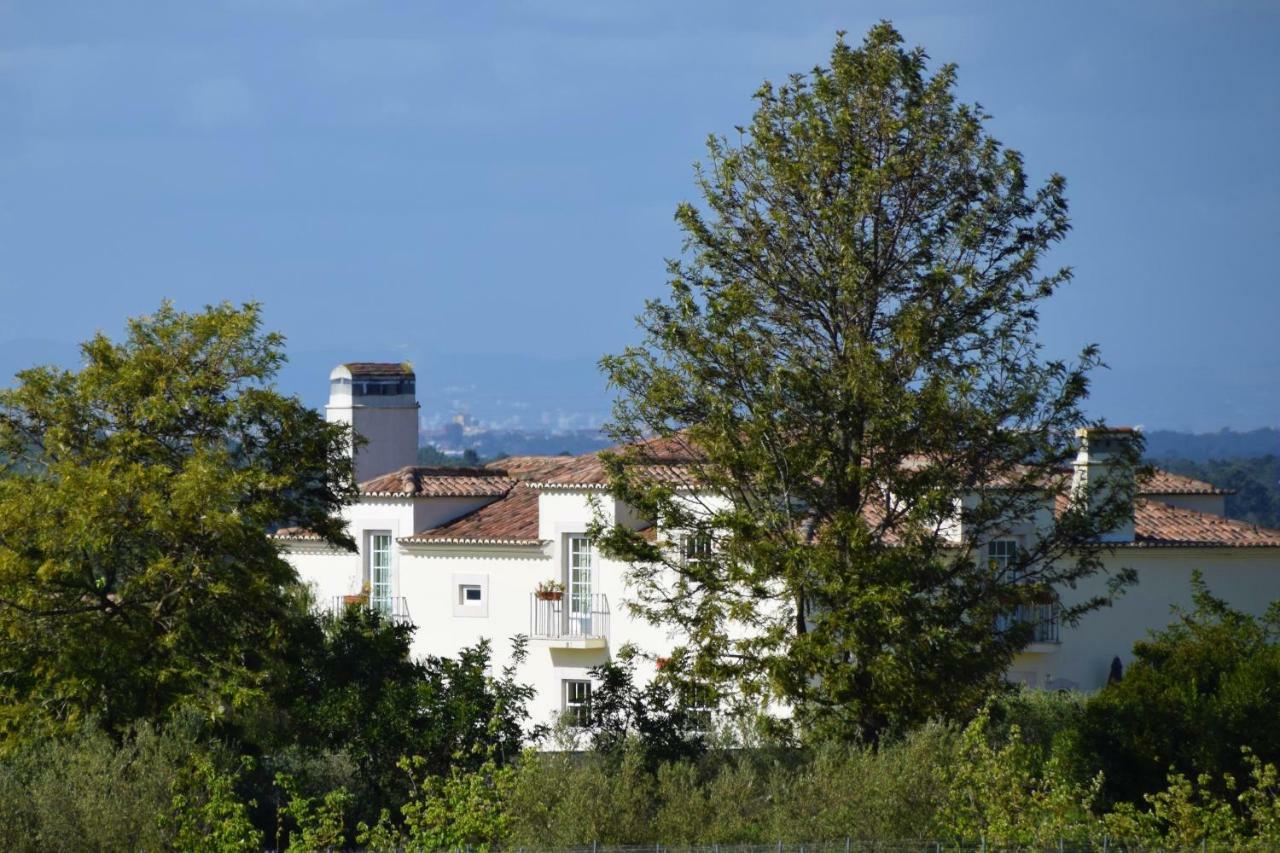 Quinta De Catralvos Hotel Azeitão Eksteriør billede